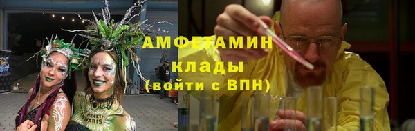 мдпв Краснослободск