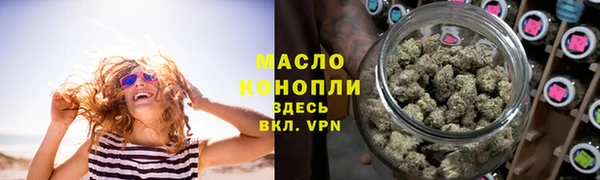 мдпв Краснослободск