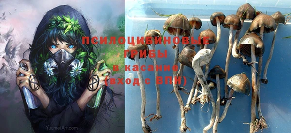 мдпв Краснослободск