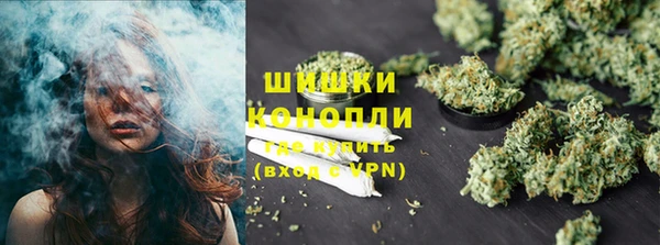 мдпв Краснослободск