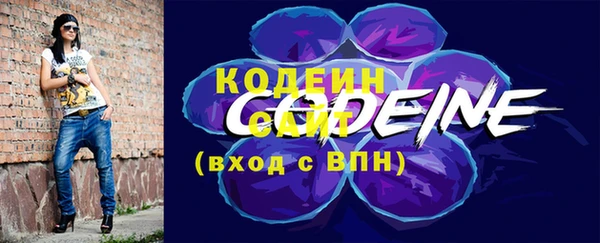 мдпв Краснослободск