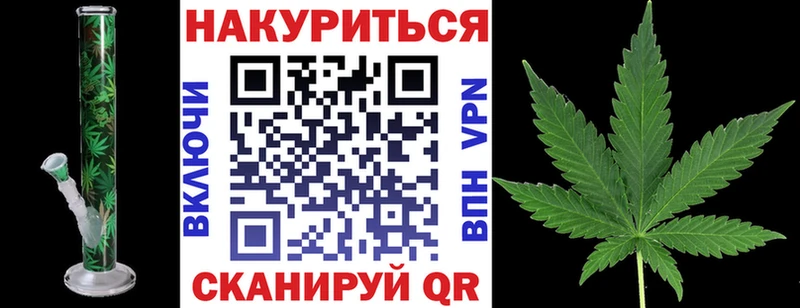 Канабис сатива цена наркотик Кирсанов